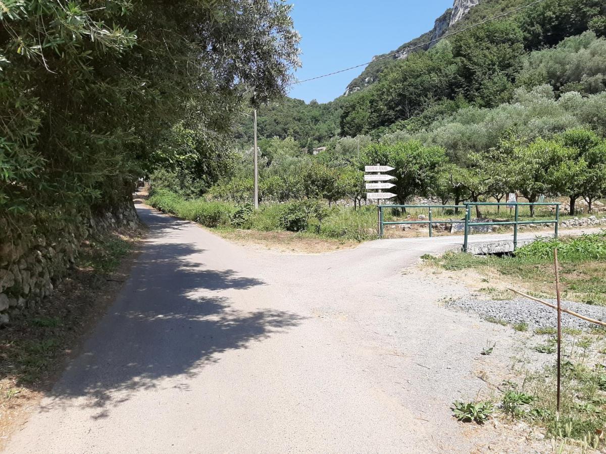 Agriturismo Alveare Finale Ligure Luaran gambar