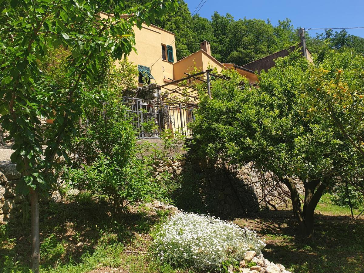 Agriturismo Alveare Finale Ligure Luaran gambar